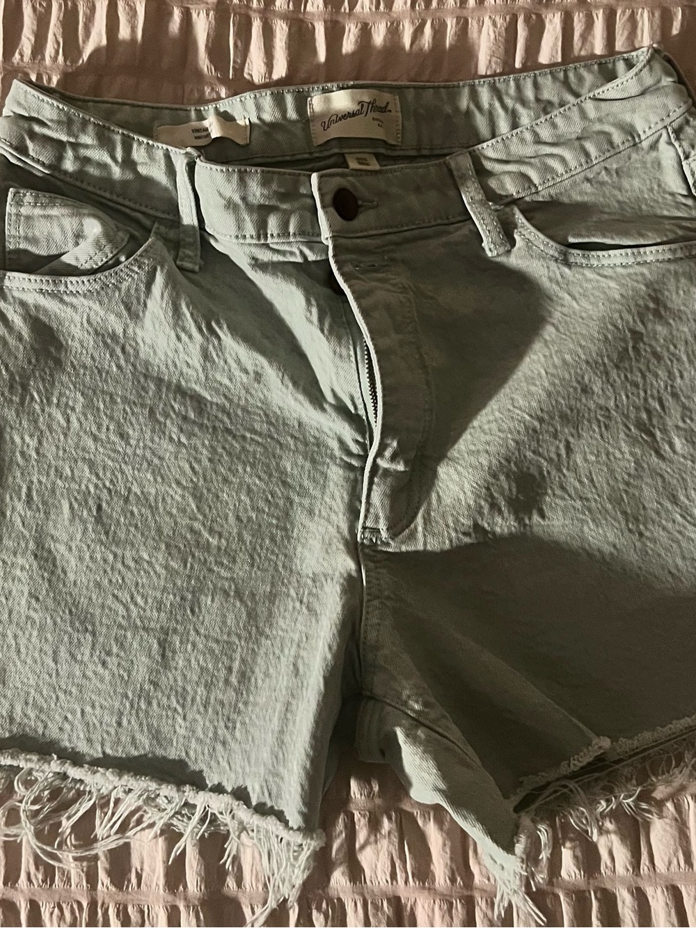 Universal thread Mint Frayed Hem Women’s Shorts